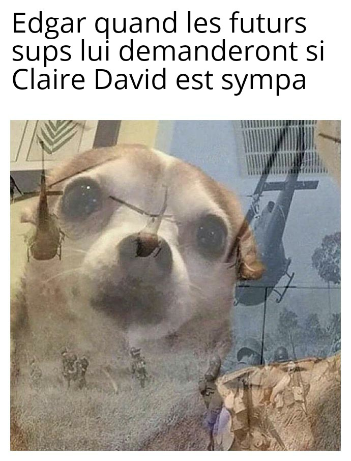 Meme numéro 1